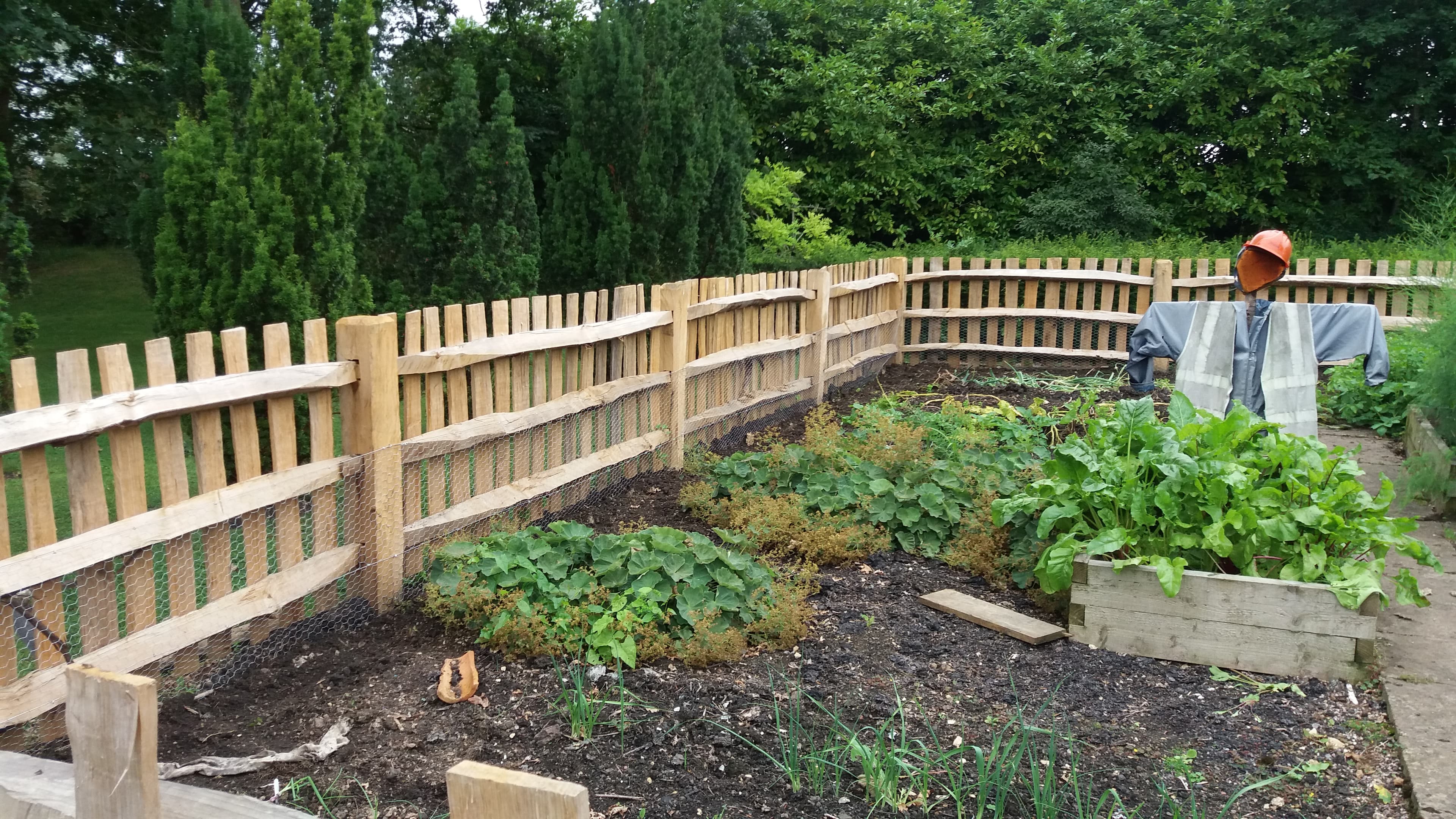 Wooden Fencing
