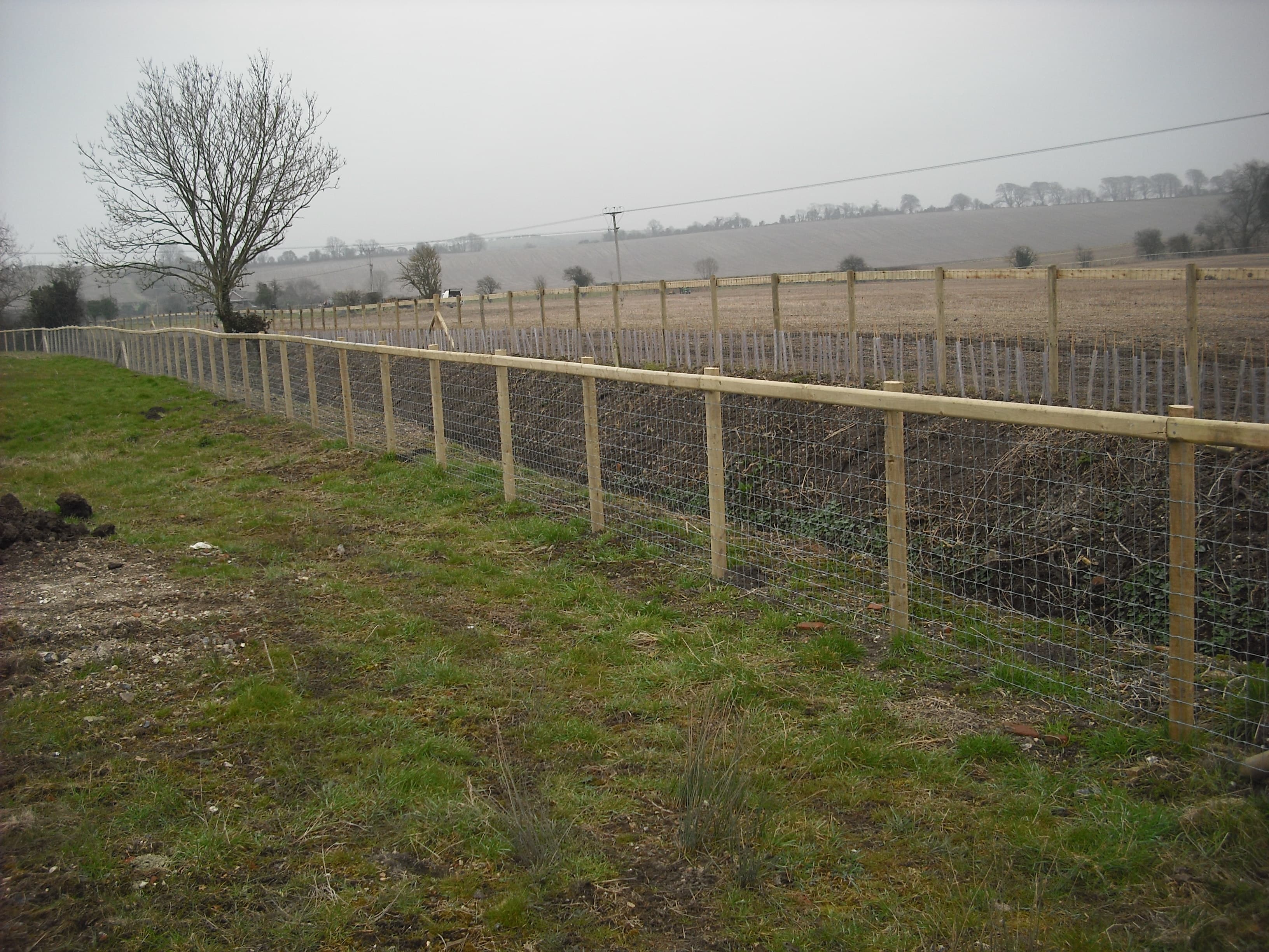 Wooden Fencing