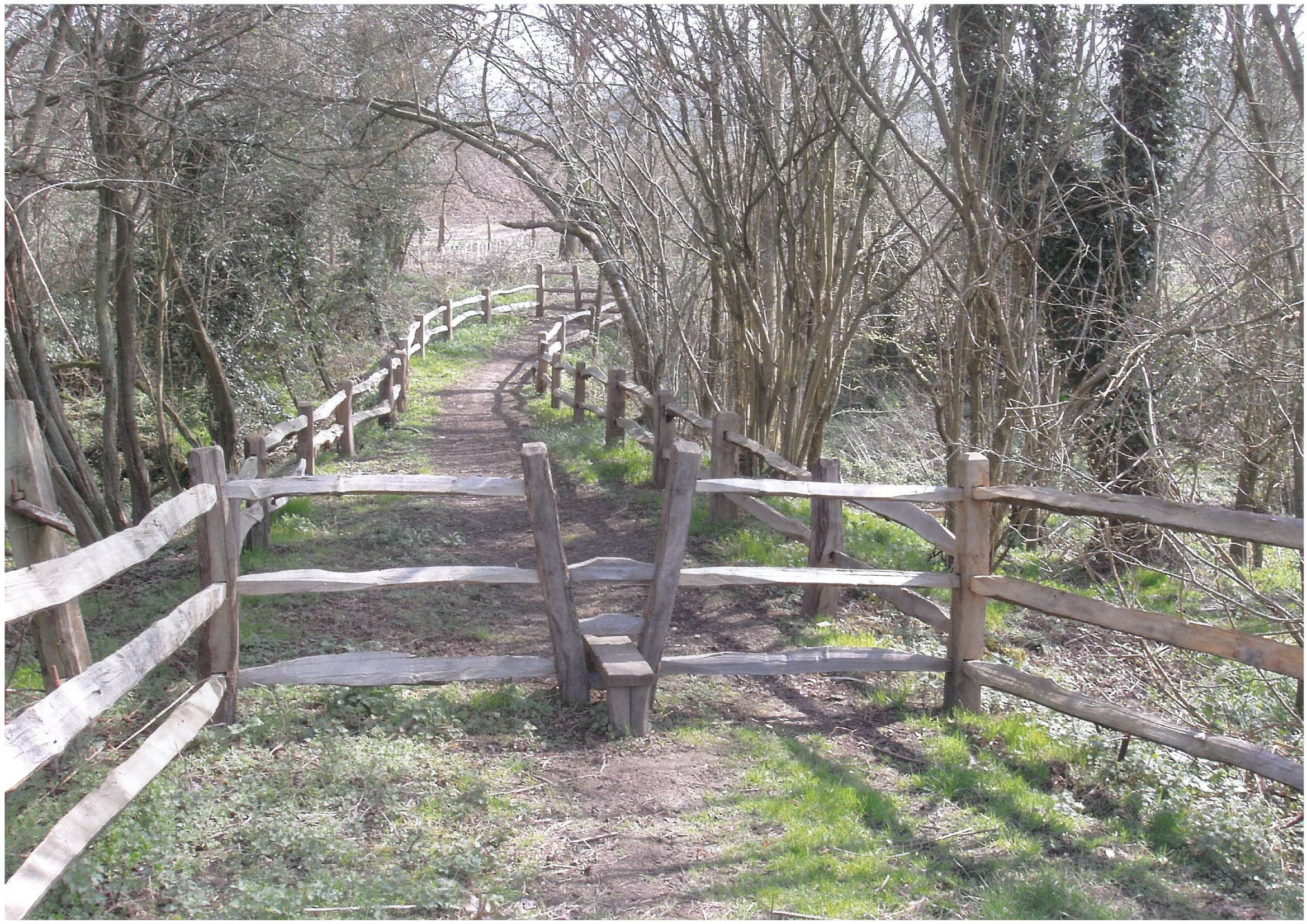2-3 Rail Cleft Fencing