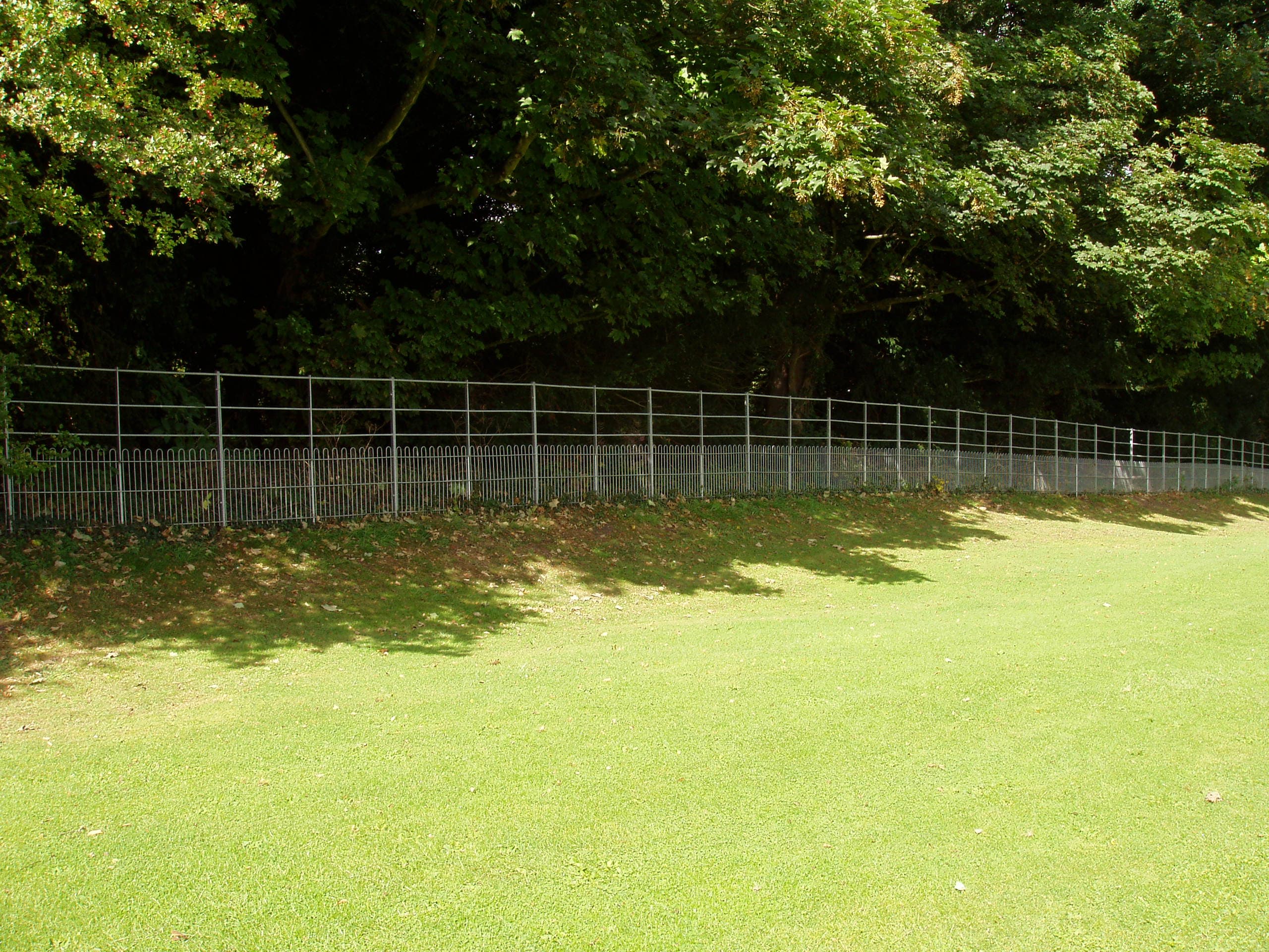 Metal Fencing & Gates