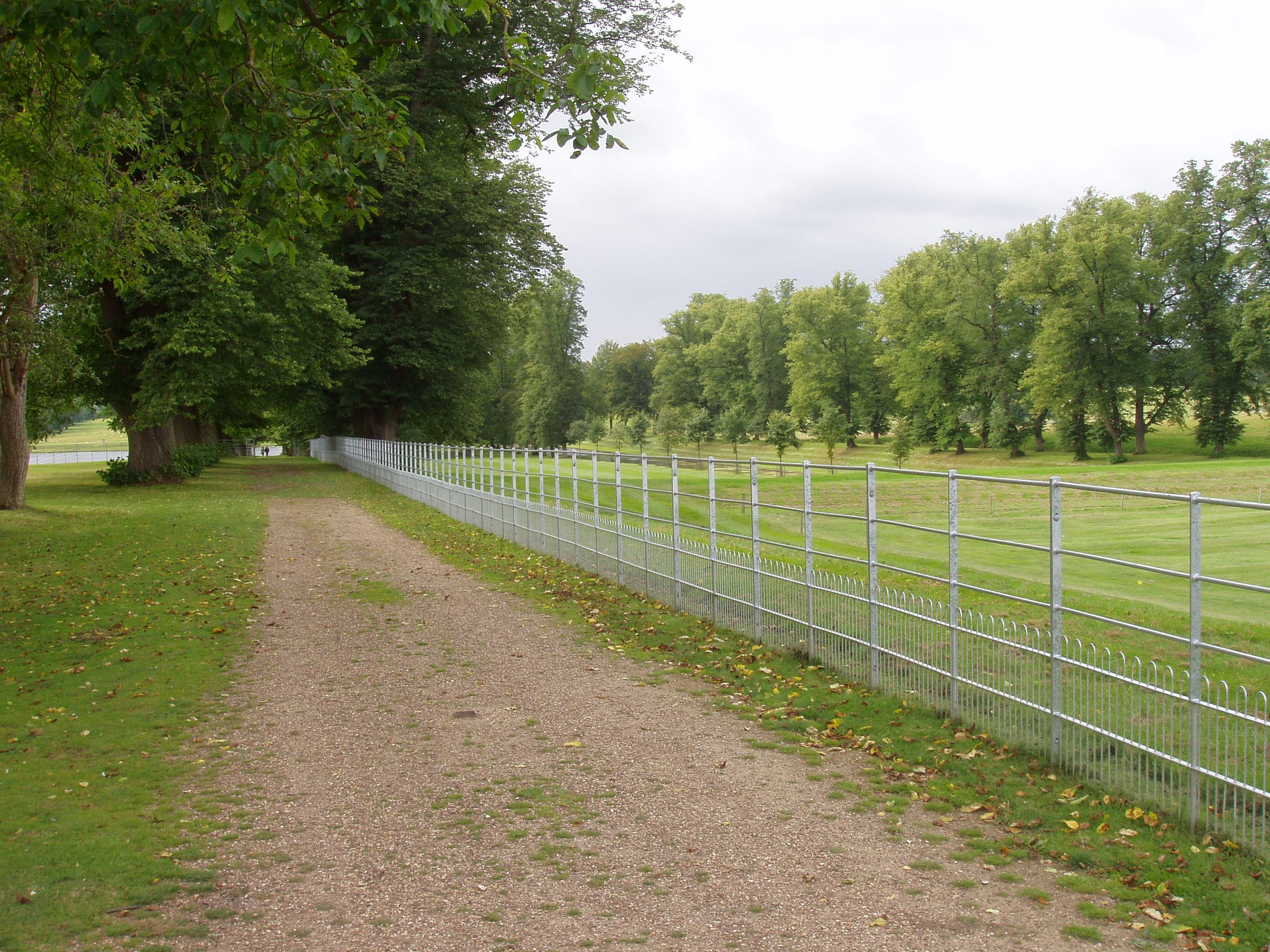 Metal Fencing & Gates