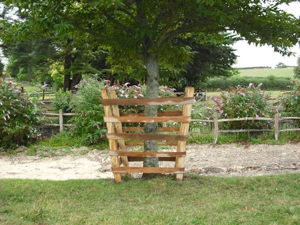 Winterborne Zelston Fencing Tree Guards