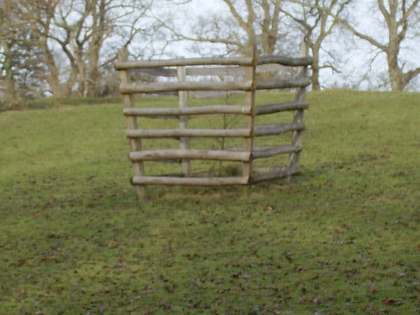 Winterborne Zelston Fencing Tree Guards