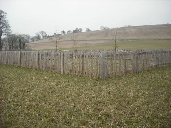 Winterborne Zelston Fencing Tree Guards