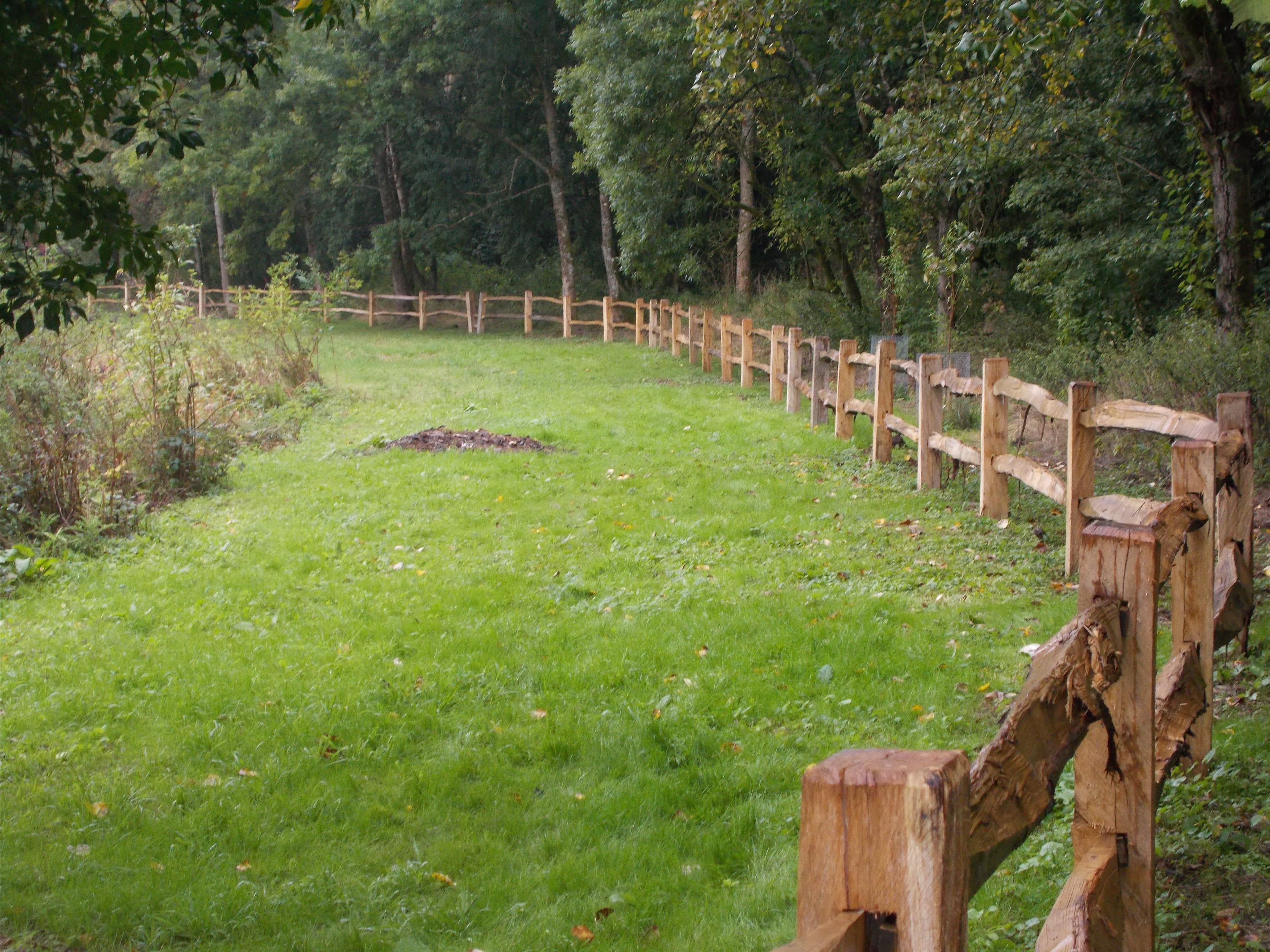 Winterborne Zelston Fencing Wooden Fencing